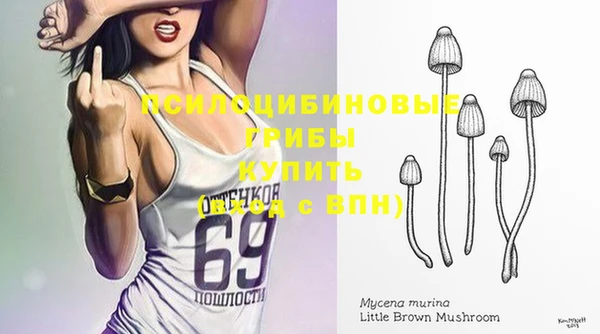 меф Белокуриха