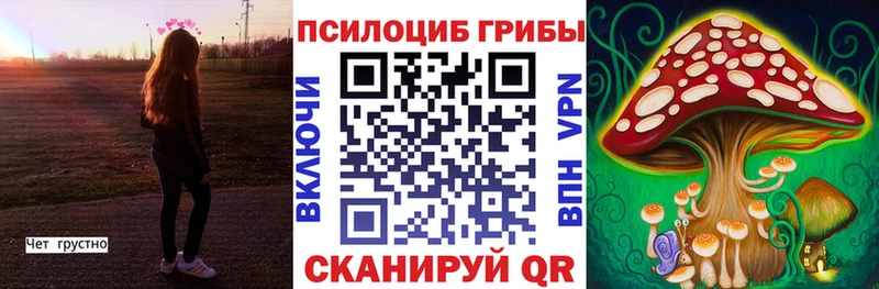 продажа наркотиков Светогорск Галлюциногенные грибы Cubensis