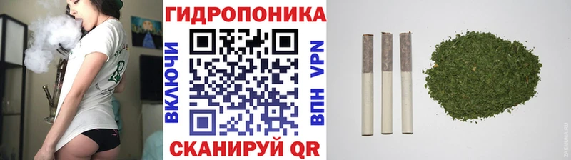 Марихуана марихуана  omg как зайти  Светогорск 